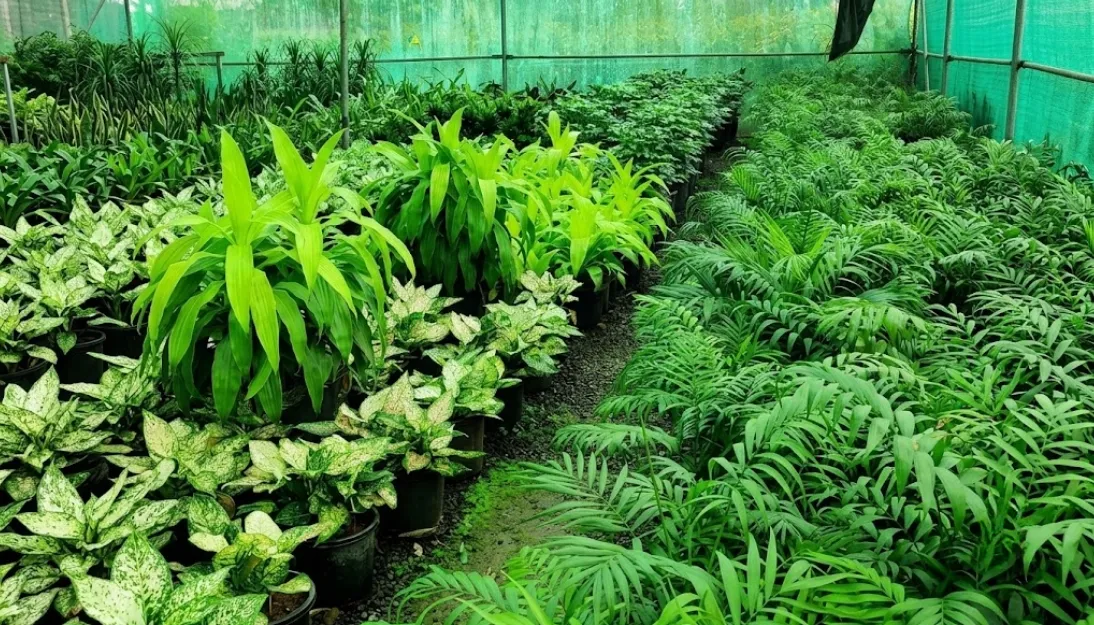 Agro Shade Net India